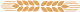 vector-shape