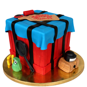 MEDICAL CAKE 2001